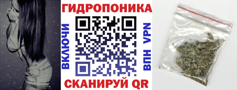 Шишки марихуана марихуана  где можно купить   Туймазы 